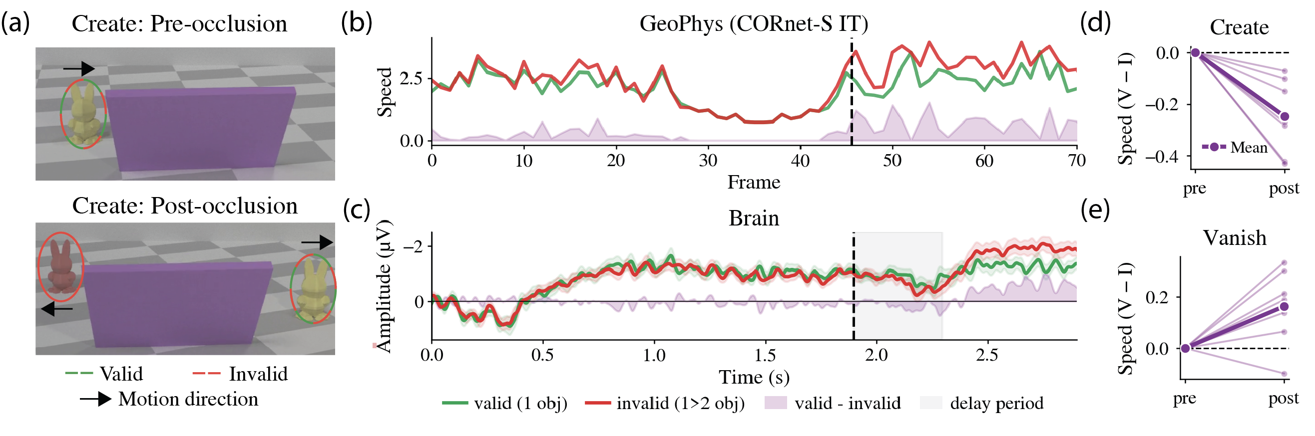 Model and brain comparison